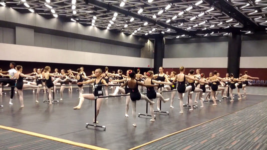 How to Choose Between Wall Mount and Portable Barres
