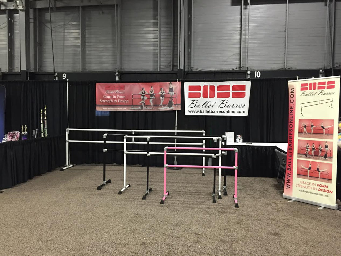 Pros and Cons of Wall Mount Versus Portable Barres